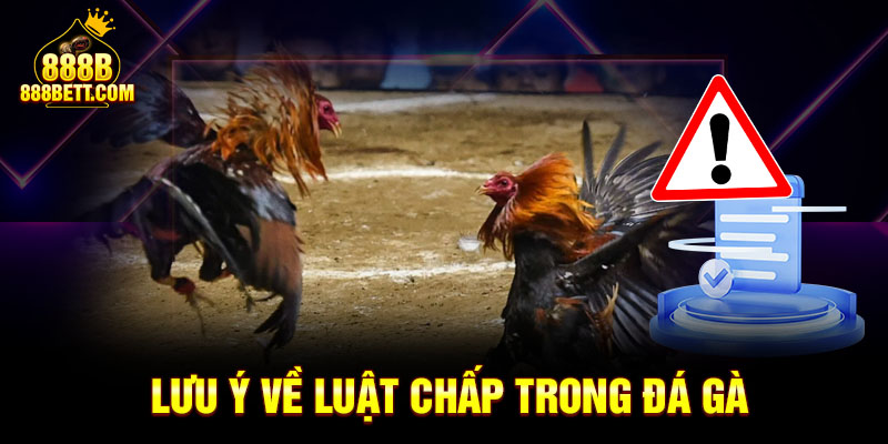 Lưu ý về luật chấp trong đá gà để nắm rõ luật chơi cơ bản