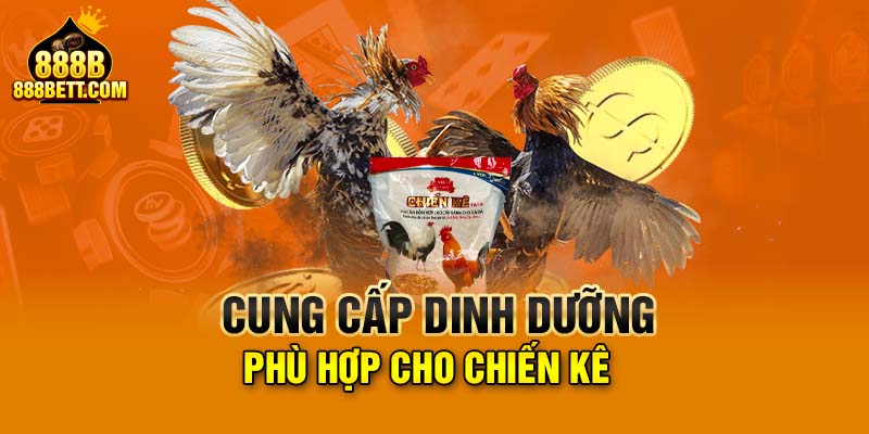 Cung cấp dinh dưỡng phù hợp cho chiến kê