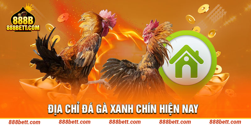 Địa chỉ đá gà xanh chín hiện nay