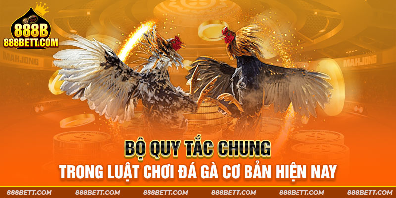 Bộ quy tắc chung trong luật chơi đá gà cơ bản hiện nay